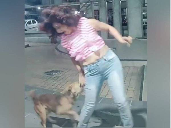 Seorang wanita menjadi tular di India selepas aksinya digigit anjing ketika leka menari sempat dirakam dan dikongsi di laman TikTok baru-baru ini.