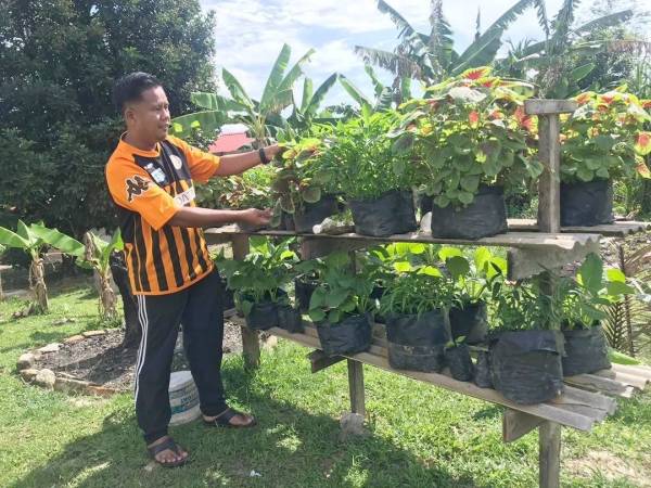 Mohd Shahrun mengusahakan projek Taman Dapur menanam pelbagai jenis sayur di Felda Chini 1.
