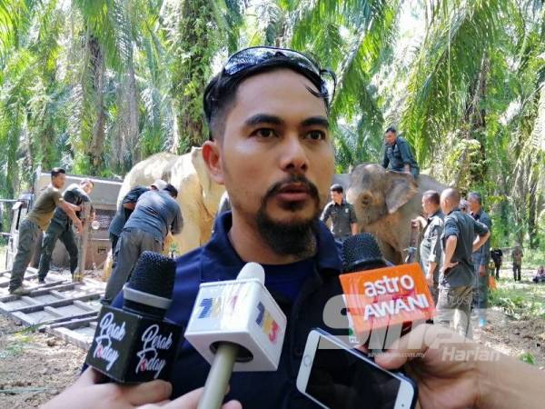 Mohamad Khairul Adha Mat Amin