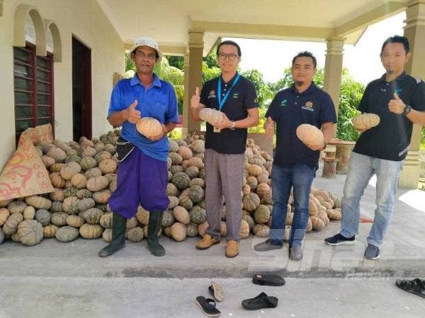 Shabuddin (dua dari kiri) ketika membuat pembelian labu manis keluaran petani di Kampung Pandan, Pekan.