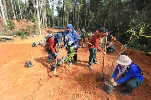 Nurfazliza (dua dari kiri) menanam buluh pada program menanam buluh di kawasan ceroboh rizab
Tasik Chini.