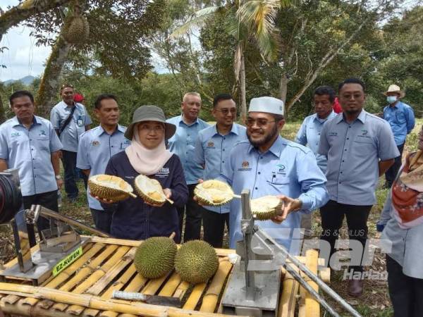 Nik Muhammad Zawawi (kanan) dan Azulita menunjukan durian yang dibuka menggunakan alat Ezkupeh.