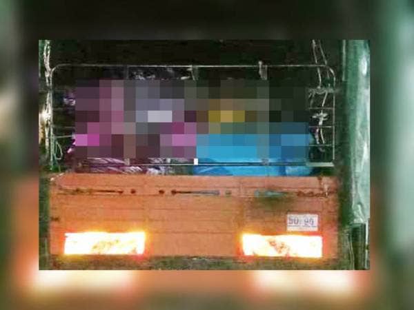 PGA Batalion 7 Kuantan merampas 9,692 helai baju T bernilai RM436,140 dalam serbuan di Jalan Gual Tinggi petang semalam. 