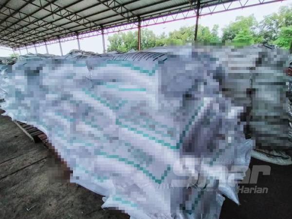 Sebahagian baja yang telah dibungkus semula sebelum dijual dengan harga RM100 setiap 50kg. 