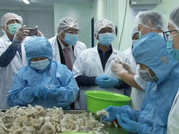 Norlizan (empat dari kiri) mendengar penerangan pihak pengurusan Loji Pemprosesan Sarang Burung Walit Belum Bersih di Melaka Raya, Banda Hilir hari ini.