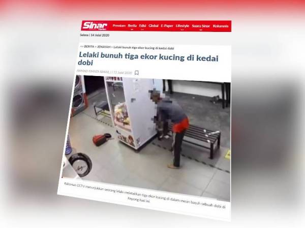 Terdahulu, Sinar Harian melaporkan seorang lelaki bertindak kejam membunuh tiga ekor kucing dengan meletakkan haiwan itu di dalam mesin basuh di sebuah kedai dobi, Ahad lalu.