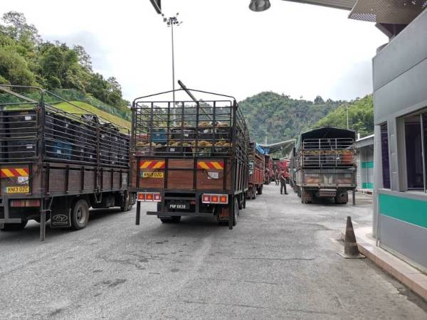 Lori-lori yang membawa barangan berupa durian dan petai dari negara jiran ditahan di pintu masuk ICQS Pengkalan Hulu di sini. 
