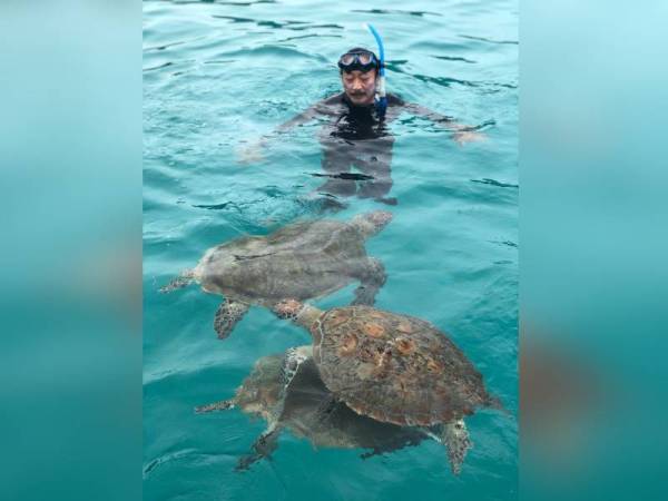 Vincent berenang bersama penyu di perairan pantai di hadapan The Taaras Beach & SPA Resort, Pulau Redang, Terengganu.