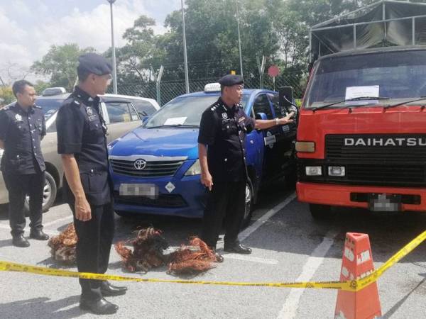 Wan Kamarul (kanan) menunjukkan kenderaan dan barang yang dirampas susulan tumpasnya Geng Edy Longor.