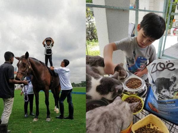 Animals for YOUNG mempunyai kepakaran dalam menyediakan Intervensi Bantuan Haiwan untuk kanak-kanak istimewa.
