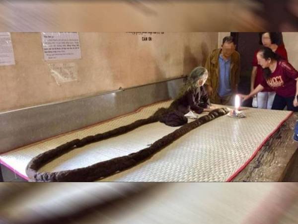 Nguyen Thi Dinh membela rambutnya sejak 63 tahun lalu dan kini panjangnya mencecah 6 meter. - Foto The Guardian