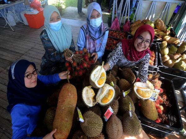 Kakitangan Jabatan Pertanian negeri (dari, kiri) Zuraidah Zainal Badri, Noor Azura Abdul Rahim, Siti Roshasmiza Roslan dan Norainy Hashim menunjukkan buah durian pada Program Promosi Durian Premium Pulau Pinang Dan Buah-buahan Tempatan di Bukit Suling, Kubang Semang.- Foto Bernama