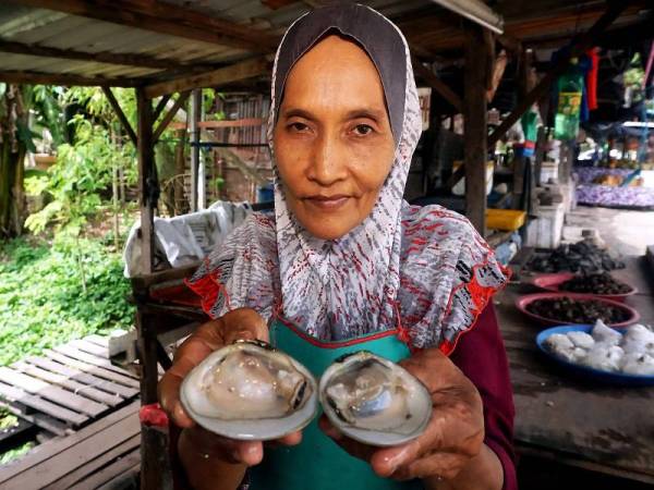 Zaini menunjukkan isi lokan (sejenis siput) yang dijual pada harga RM1.50 sekilogram di kedainya di Jalan Semeling di sini. 