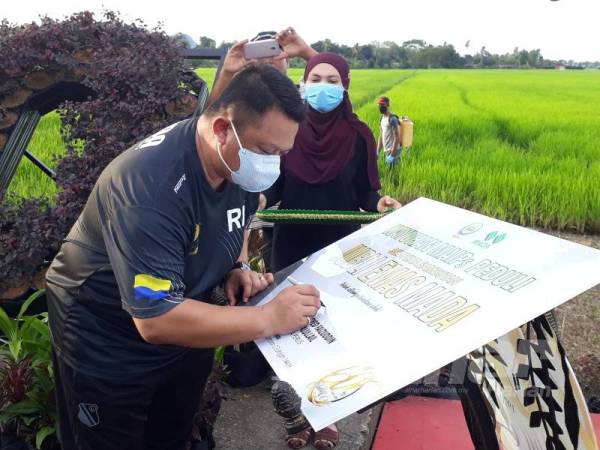Tuanku Syed Faizuddin Putra menandatangani plak perasmian Sambutan Jubli Emas MADA Peringkat Negeri Perlis di kawasan sawah dekat Utan Aji, Kangar kelmarin.