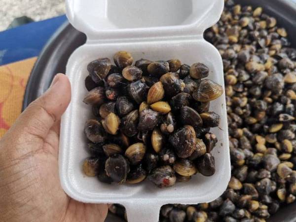 Etak salai segar dari Kelantan yang dijual Mohd Hakimi di gerainya di Kampung Pengadang Baru.