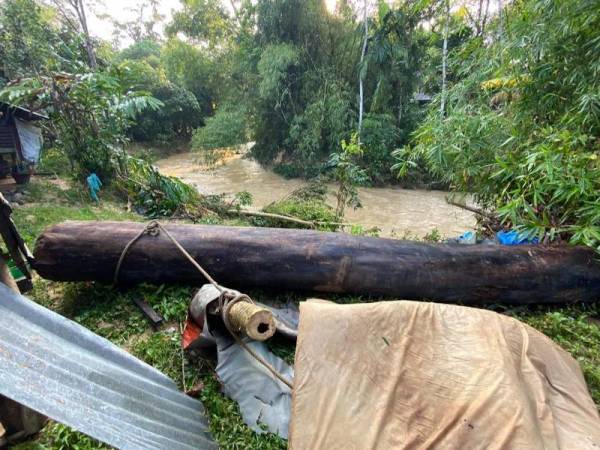 Sebatang kayu balak hanyut dipercayai dibawa arus deras ditemui selepas air banjir surut.