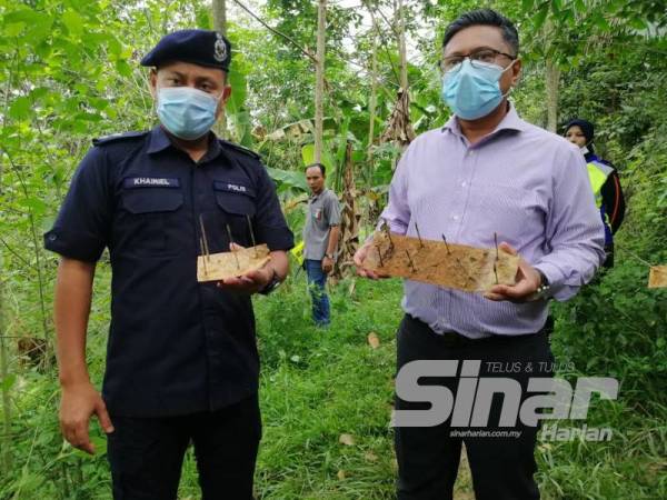 Syahrul Nizam (kanan) dan Mohd Khairiel menunjukkan perangkap paku yang ditemui di kebun ketum di Felda Lui Selatan, Jempol.
