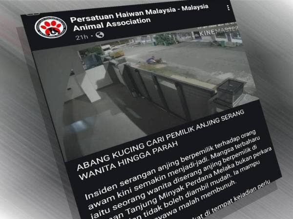 Seorang wanita diserang seekor anjing ketika berjalan kaki di taman berkenaan.