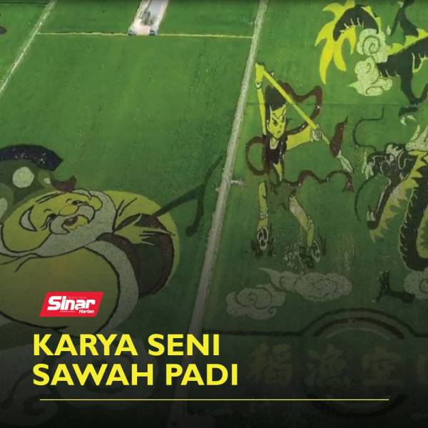 SAWAH-PADI