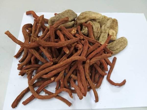 Herba tradisional yang dirampas Maqis.