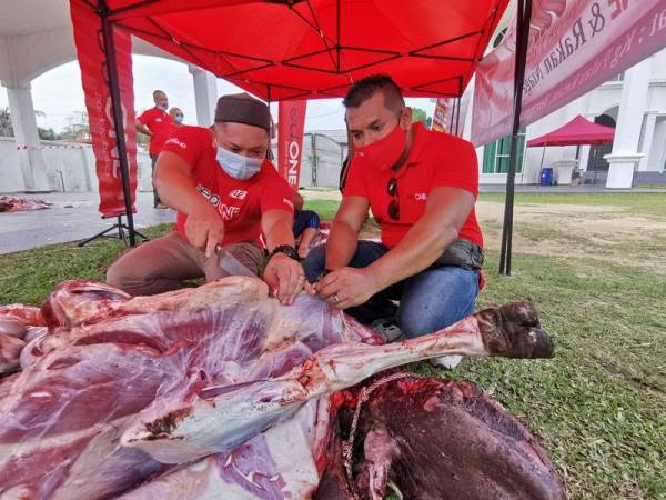 Mohd Hashrul Shahirman (kanan) melihat proses melapah daging lembu yang dikorbankan sempena Aidiladha kali ini.