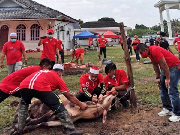 Proses menyembelih lembu sempena program ibadah korban redONE bersama rakan niaga hari ini.