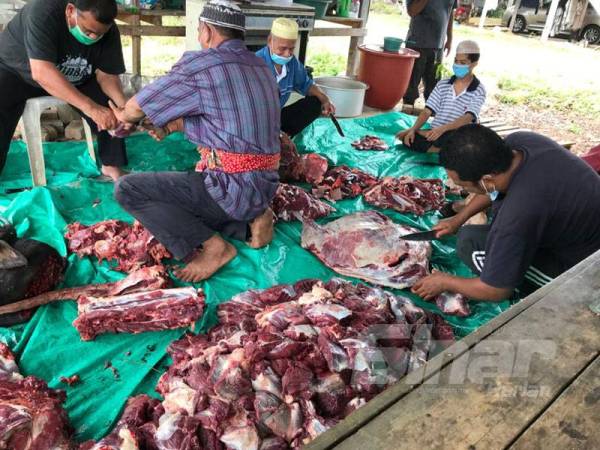Daging hasil ibadah korban diagihkan kepada masyarakat kampung serta golongan kurang berkemampuan.