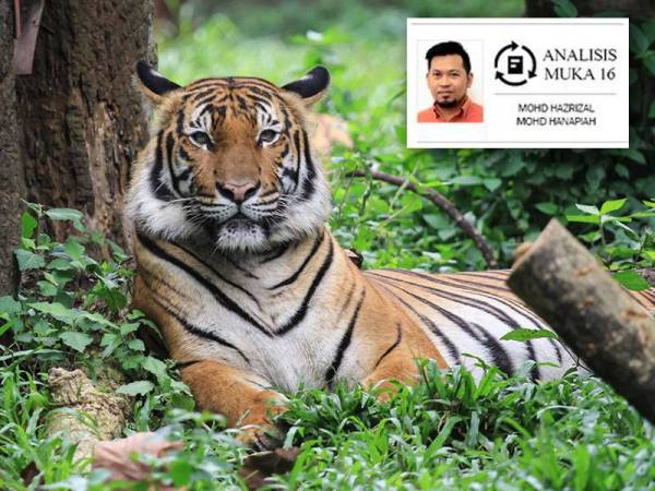 Selamatkan spesies Harimau Malaya