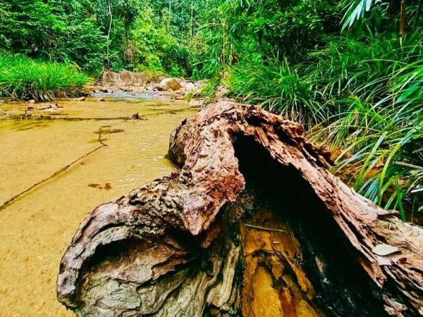 Antara lokasi cantik di Air Terjun Sungai Pandan