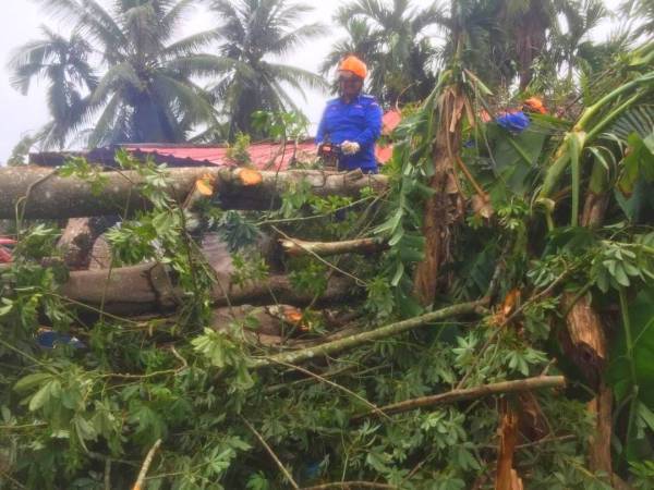 Anggota APM bertungkus lumus membersihkan pokok tumbang yang menghempap bahagian rumah penduduk.