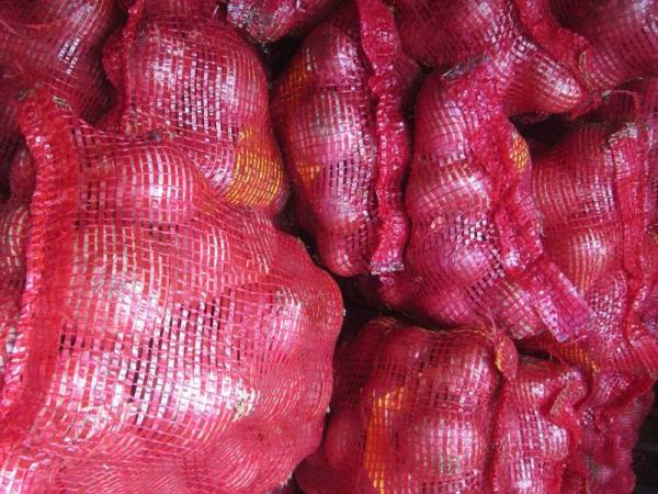 Bawang besar dari India yang dirampas.