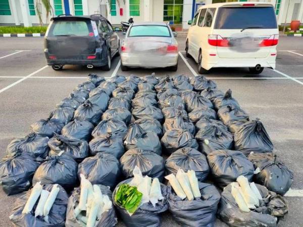 PGA Batalion 9 Kuala Terengganu menumpaskan sindiket penjualan daun ketum oleh geng Pak Su selepas berjaya menangkap ketuanya dalam serbuan di sebuah rumah di Gual Periok.