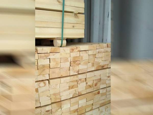 Tujuh kontena yang membawa spesis kayu pine dirampas Maqis Pulau Pinang petang kelmarin.