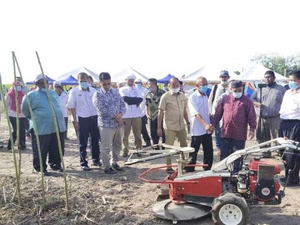 Mohd Khairuddin menyaksikan demonstrasi proses tuaian kenaf selepas menyempurnakan Majlis Penyampaian Bantuan Prihatin Kenaf Peringkat Negeri Pahang di Kampung Merchong di sini hari ini.