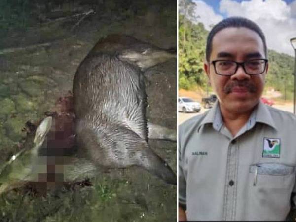 Gambar dimuat naik dalam Facebook Sultan Ibrahim Sultan Iskandar semalam. Gambar kanan: Salman Saaban