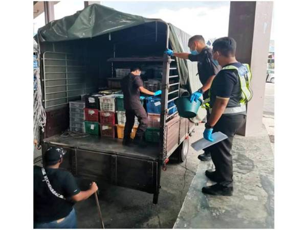 Maqis Kelantan merampas sayur dan buah-buahan segar seberat 6.3 tan ke negara ini dari Thailand tanpa permit sah di Kompleks ICQS Rantau Panjang.