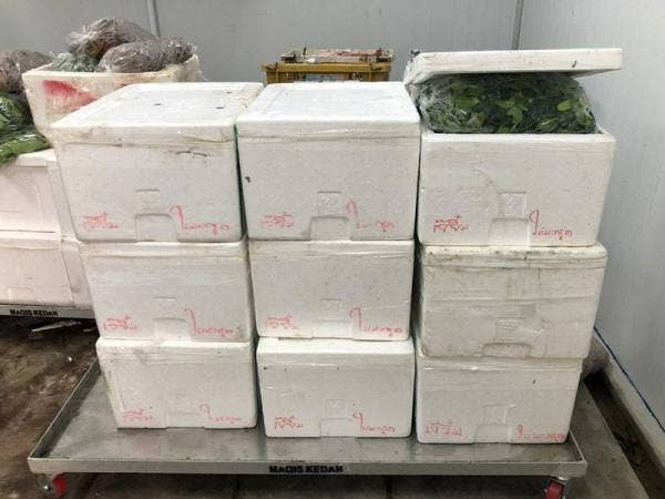 Daun limau dari Thailand dirampas kerana tidak mempunyai kebenaran untuk dibawa masuk ke negara ini melalui Bukit Kayu Hitam hari ini.Foto: Maqis