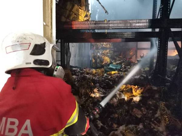 Anggota bomba sedang memadam kebakaran sebuah kilang memproses ayam di Serkam yang terbakar Sabtu lalu.