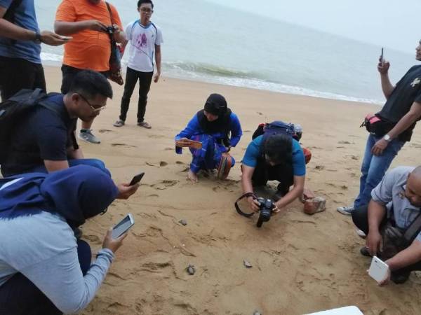 Pusat Penetasan Penyu 