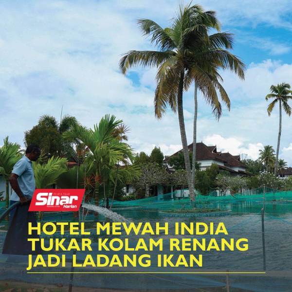 TEMPLATE-COVER-VIDEOFISH