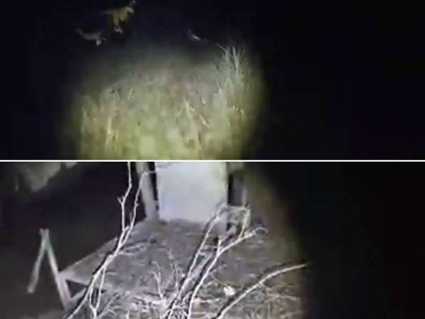 Lokasi pencarian Acap di pondok usang, Gopeng.