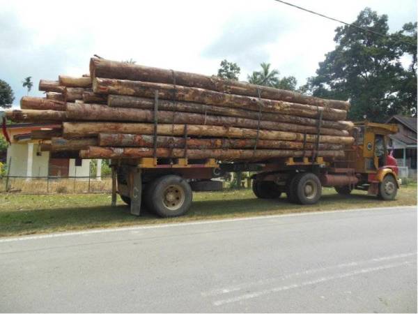 Lori muatan kayu balak yang terbabit dalam kemalangan tersebut. - Foto ihsan polis