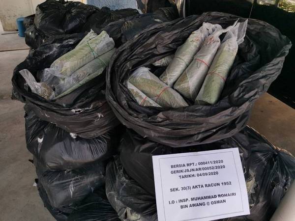 Sebahagian daun ketum yang dirampas dari dua kenderaan yang dinaiki empat lelaki.
