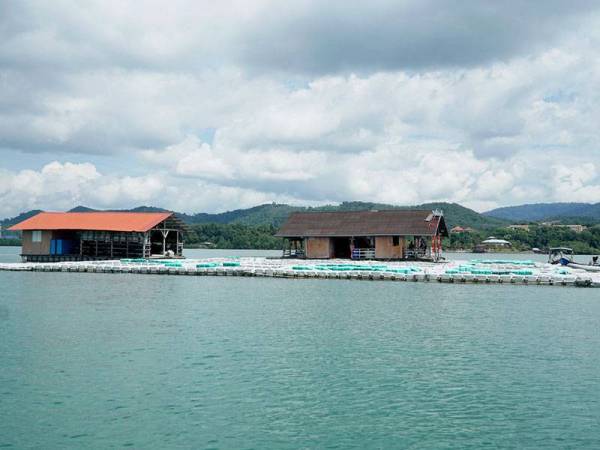 FMR Agro Aqua Culture Sdn Bhd akan melabur RM2 juta bagi membangunkan projek ternakan ikan kerapu hibrid dan ikan merah dalam sangkar di Tapak Sistem Kultur Laut, Sungai Menghulu.