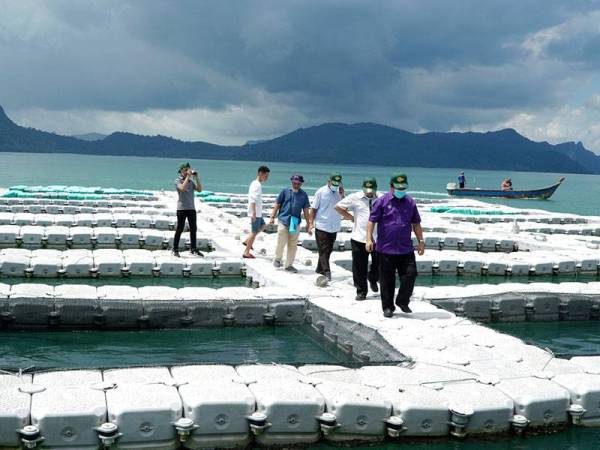 Pengerusi Jawatankuasa Pertanian dan Industri Makanan, Perusahaan Peladangan dan Komoditi, Pengangkutan dan Hal Ehwal Masyarakat India Azman Nasrudin (depan) hadir meninjau Tapak Sistem Kultur Laut, Sungai Menghulu hari ini.