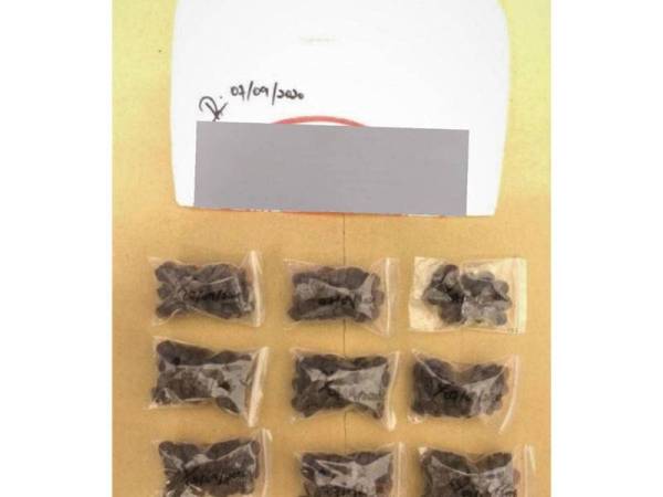 Dadah yang dirampas daripada suspek.