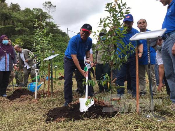 Wan Rosdy turut menanam anak pokok sebagai tanda sokongan terhadap usaha pemulihan kawasan Sungai Ichat. 