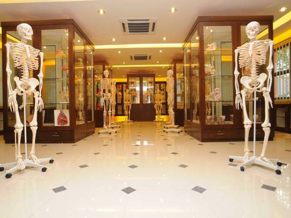 Muzium Anatomi disediakan untuk rujukan penuntut AMU bagi memahami fungsi badan manusia.