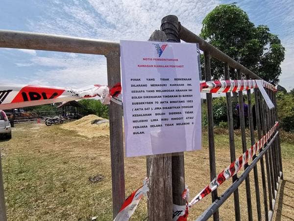 Antara notis yang ditampal pada pintu masuk kandang kerbau di Kampung Banggol Katong, Serada hari ini.