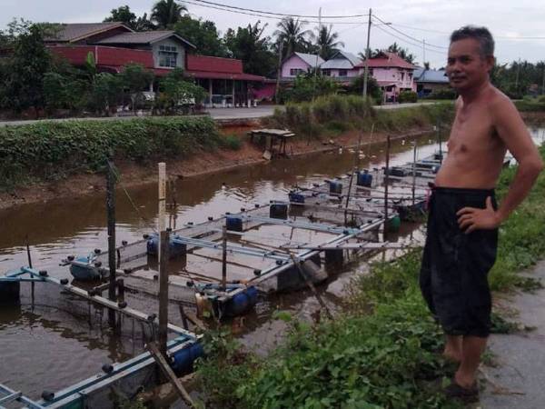 Mohd Yaacob melihat keadaan ikan ternakan sangkarnya yang kosong selepas diagihkan kepada penduduk di Parit Gabis, Bagan Serai hari ini. Foto: Ihsan pembaca